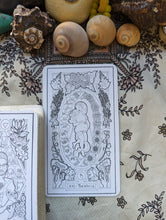 Load image into Gallery viewer, Emergency One-Card Tarot Reading